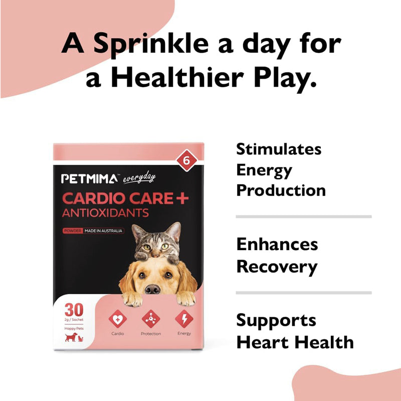 Petmima Cardio Care + Antioxidants Reduce Fatigue, Stimulate Energy Production, Australian Made